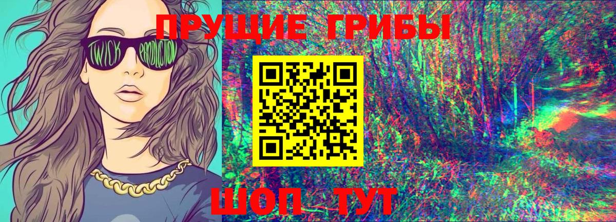 где купить наркотик  Псилоцибиновые грибы Magic Shrooms  Канск  Вход с VPN  Галлюциногенные грибы мухоморы 
